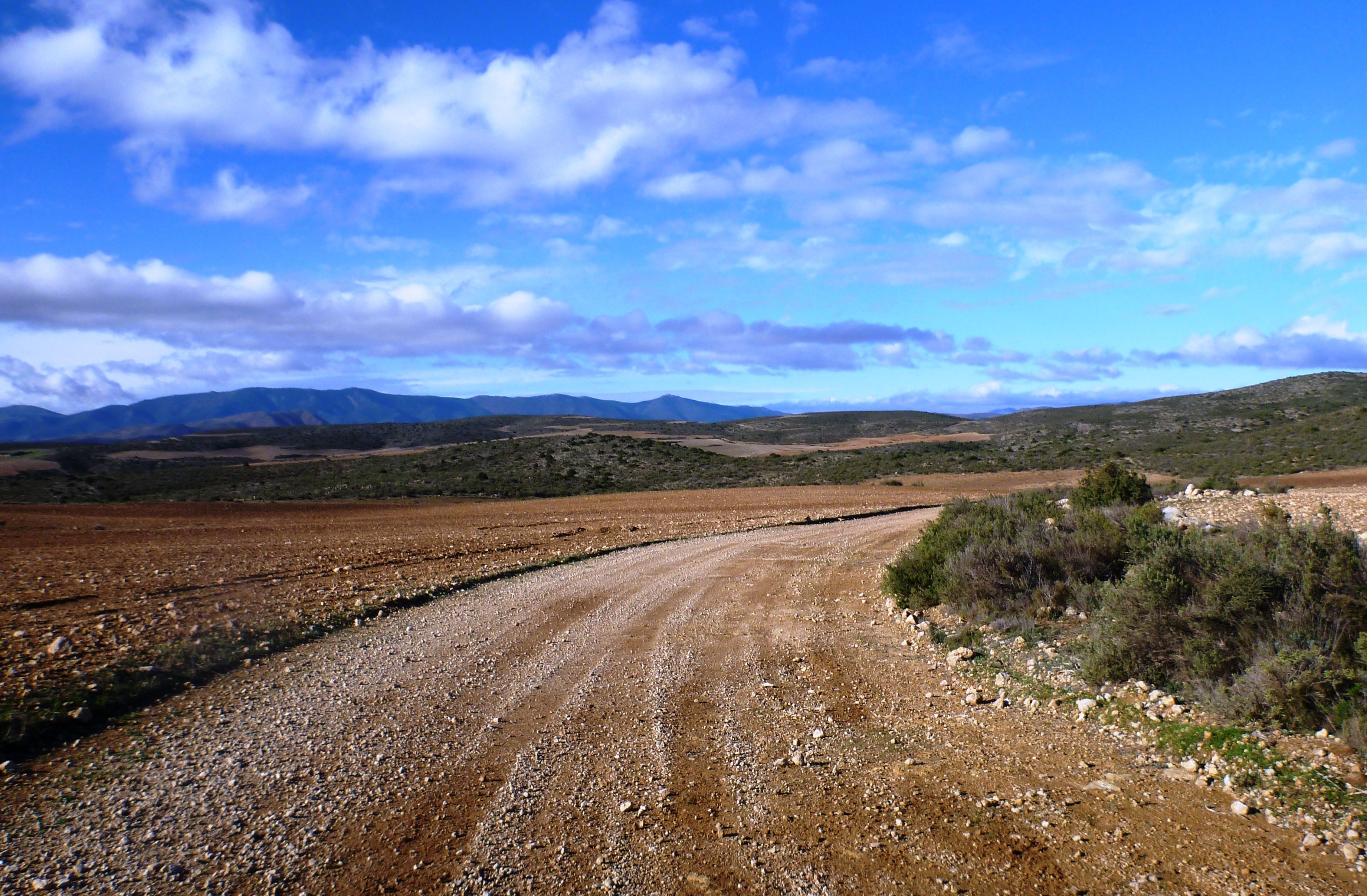 RUTA :  MARIA-ILLUECA Y SIERRAS P1040122l