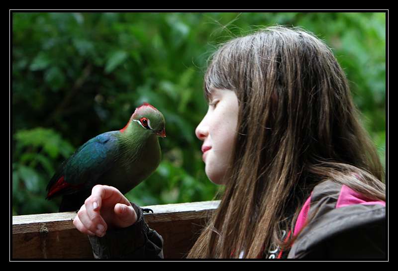 Nos photos, Sortie Zoo de doué - Page 19 2ou2