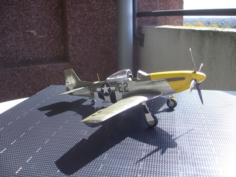 P 51 D mustang 002qyv