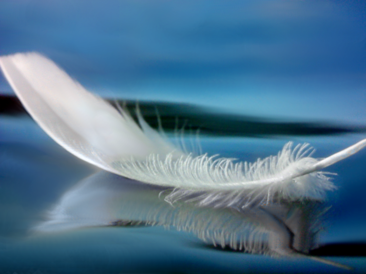 ...Feather... Cakixchi4i