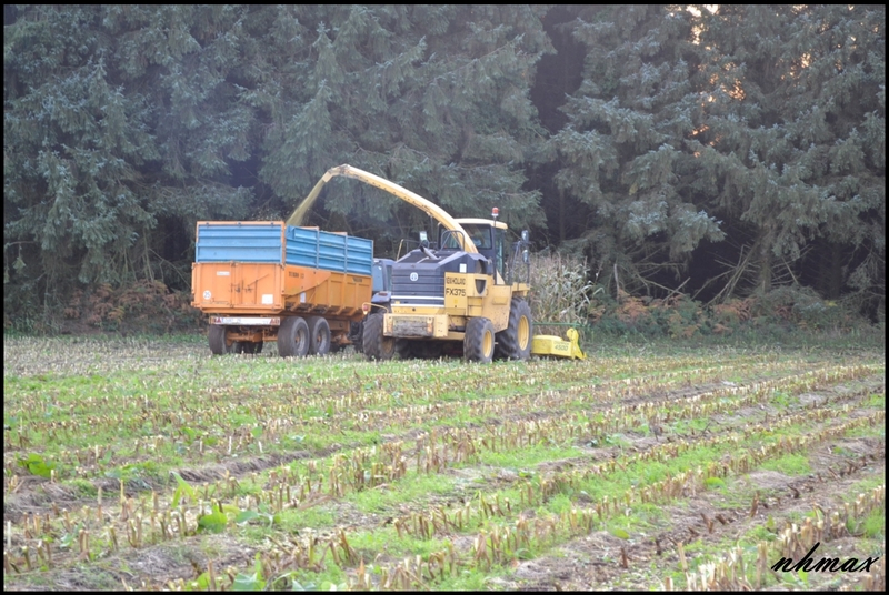 Ensilage de mas 2011 Dsc0098pp