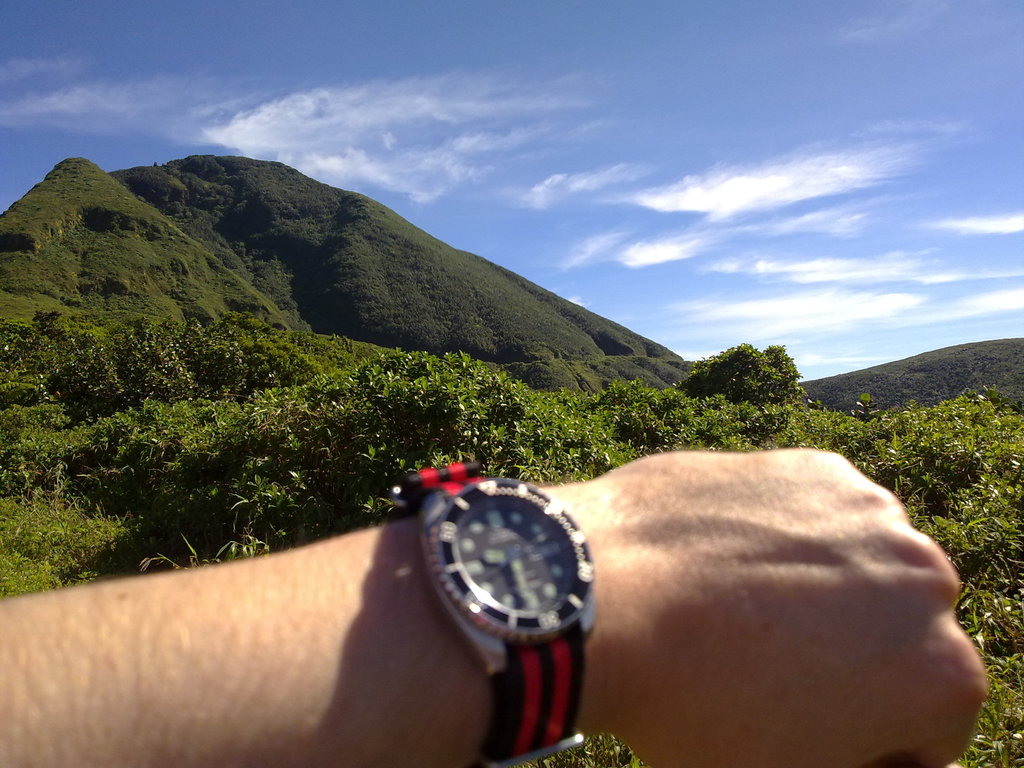 De retour de Guadeloupe, j'ai vu plein de belles choses, même des montres... 09112010732