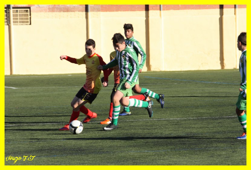 Murina 3-8 J25S FFOqfq