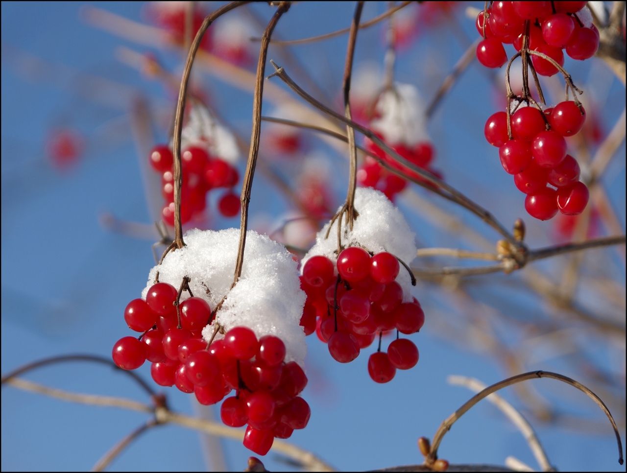 Ciel / Nuages / Pluie / Brume / Vent / Neige / Givre / Soleil - Page 9 IA2Ovd