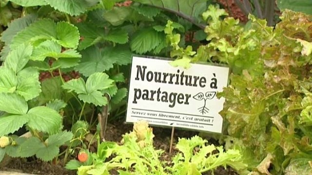 Des potagers gratuits ALej8n