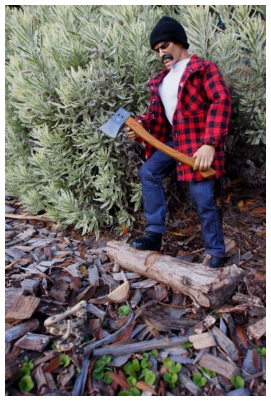 My lumberjack showing off his new  tools and other bits.  PCoWCm