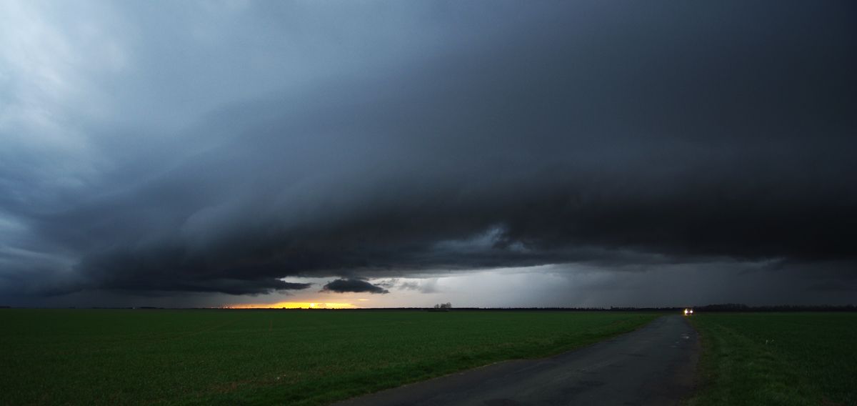 Arcus surprise Copiedeimgp8334