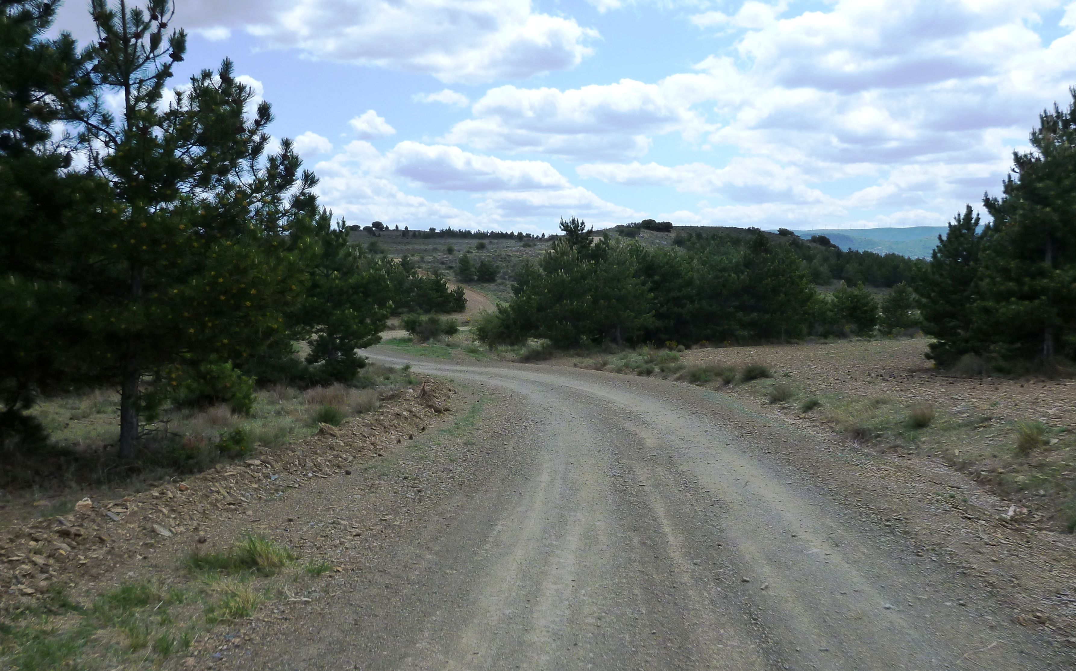 ruta 20-05-2012 P1010460t