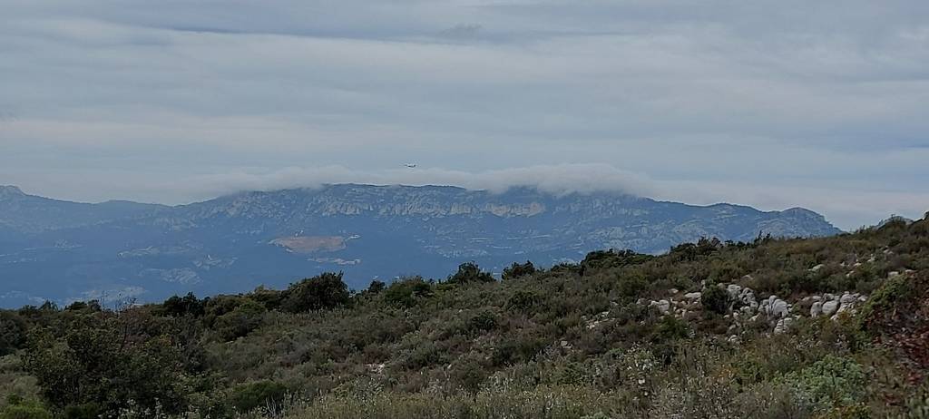 Massif du Garlaban- Randonnée des Micoucouliers-Jeudi 1er février 2024 BeHIIq