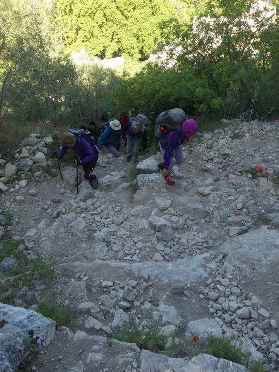 Fontaine de Vaucluse-Mourre de la Belle Etoile-Jeudi 11 mai 2023 EjPQSG