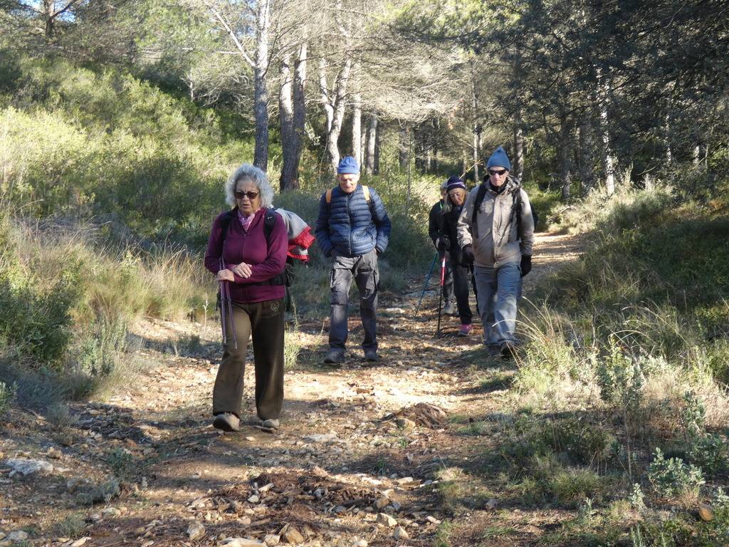 Marche du Téléthon 2023-Samedi 2 décembre 2023 MwznDw