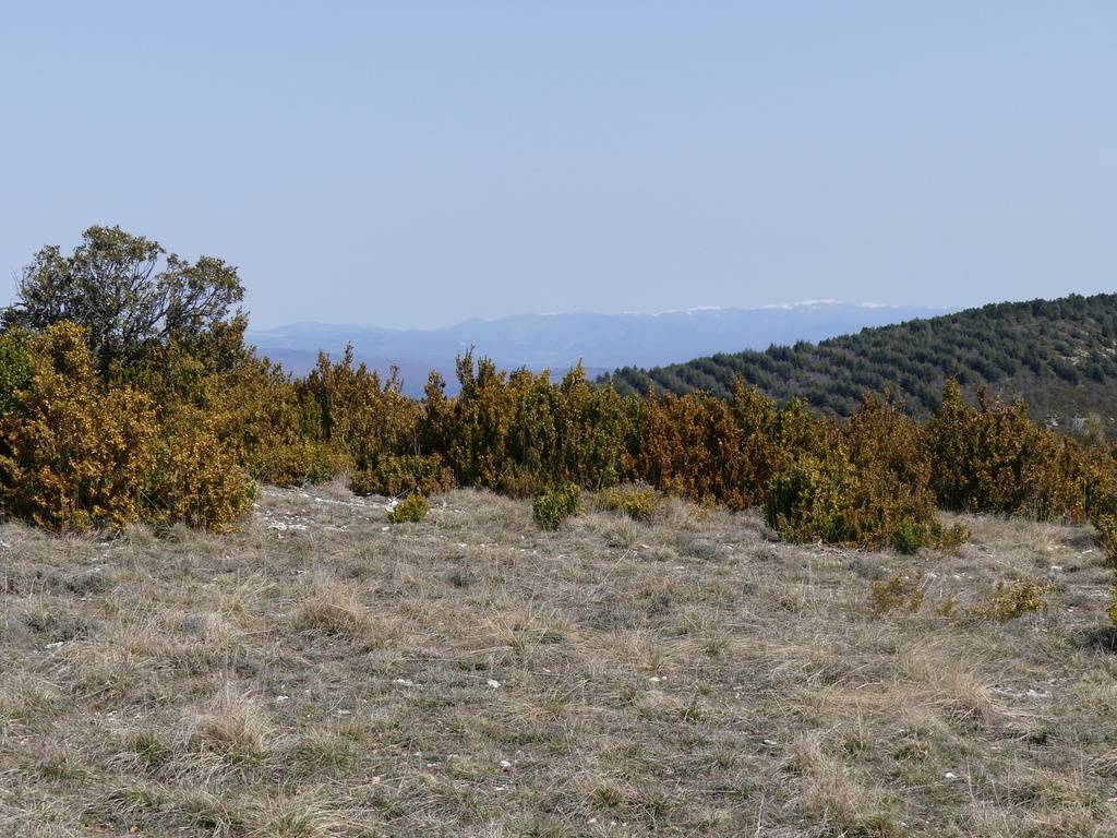 Buoux-Crêtes du Lubéron-Aiguebrun-Jeudi 21 mars 2024 OmBBPf