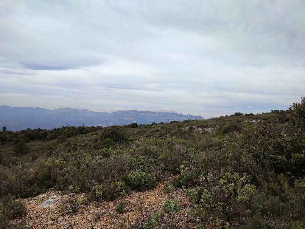 Massif du Garlaban- Randonnée des Micoucouliers-Jeudi 1er février 2024 QrGchn