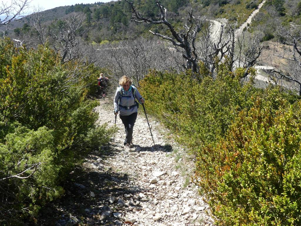 Auribeau-Lubéron-Mourre Nègre-Jeudi 13 avril 2023 SftGcf