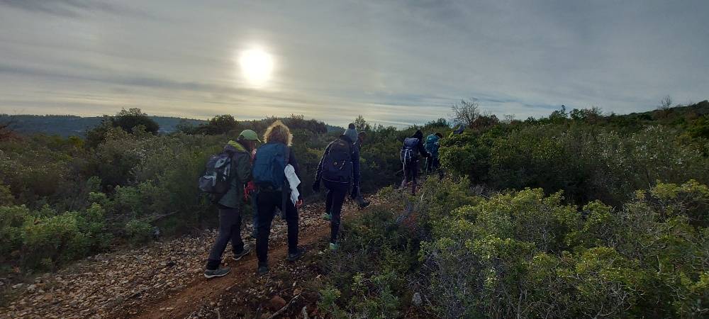 Massif du Garlaban- Randonnée des Micoucouliers-Jeudi 1er février 2024 JmqZzb