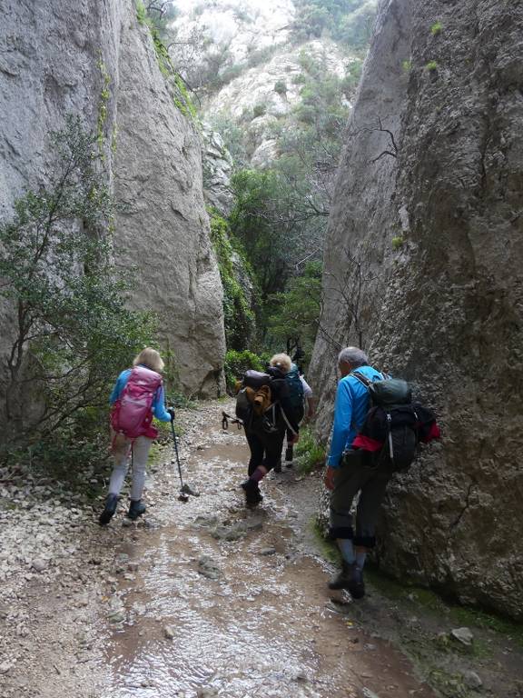 Petit Lubéron-Roumiguier-Gorges du Régalon-Jeudi 7 mars 2024 LS7YC1