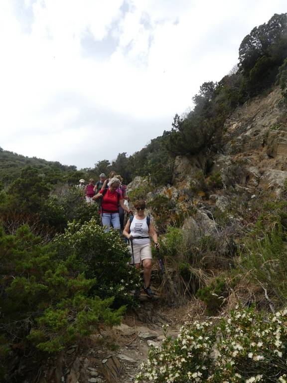 Randonnées ile de Port Cros-Jeudi 22 juin 2023 NKwPoS