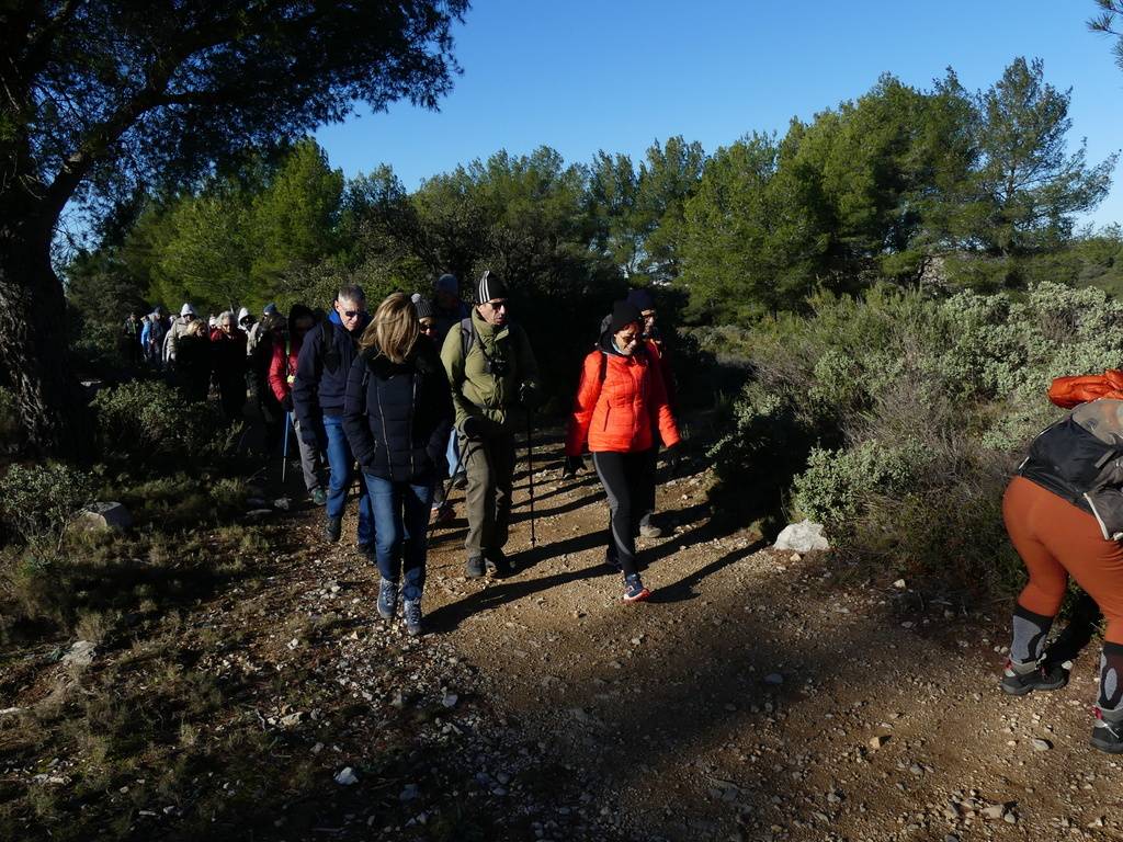 Marche du Téléthon 2023-Samedi 2 décembre 2023 PS0kSB