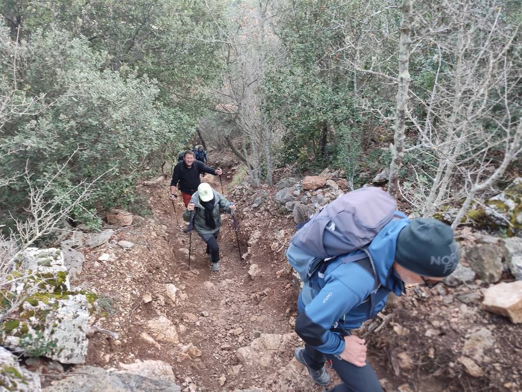 Massif du Garlaban- Randonnée des Micoucouliers-Jeudi 1er février 2024 ZVdoUK