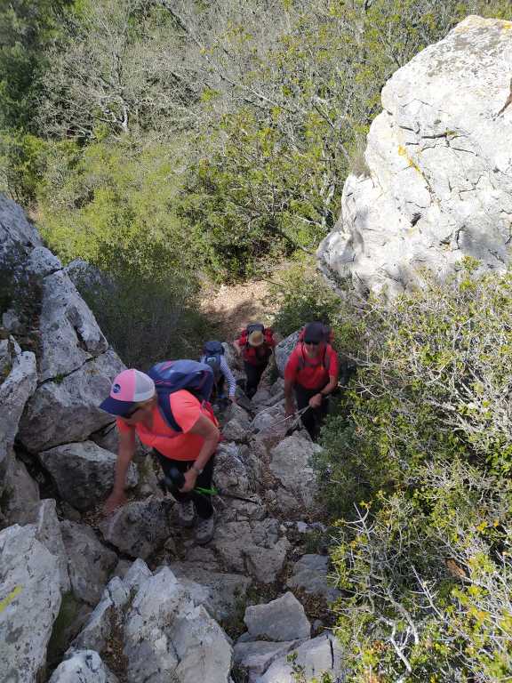 Kirbon-St Jean du Puy-Jeudi 4 avril 2024 8xw2vr