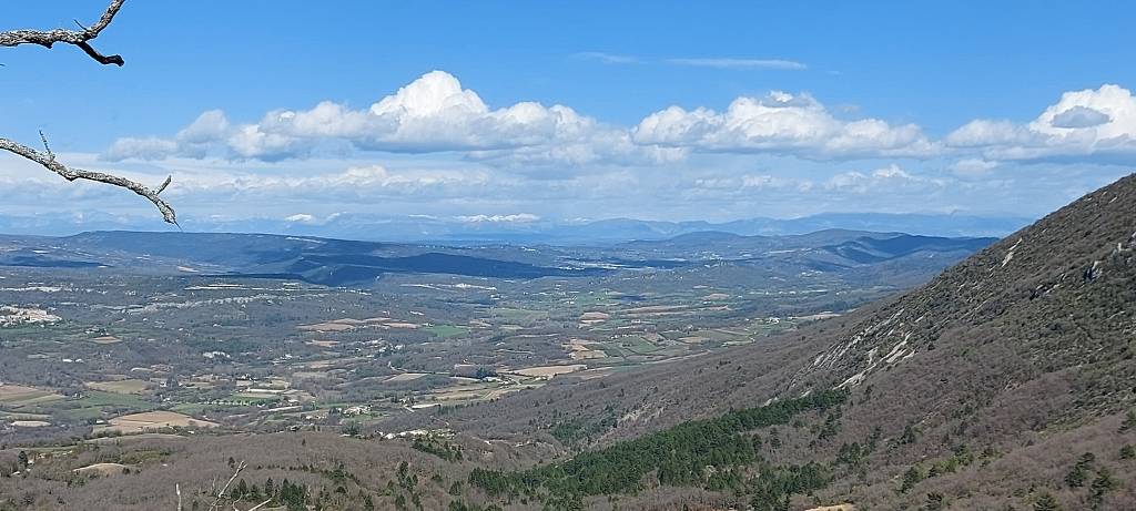 Auribeau-Lubéron-Mourre Nègre-Jeudi 13 avril 2023 CDy89n