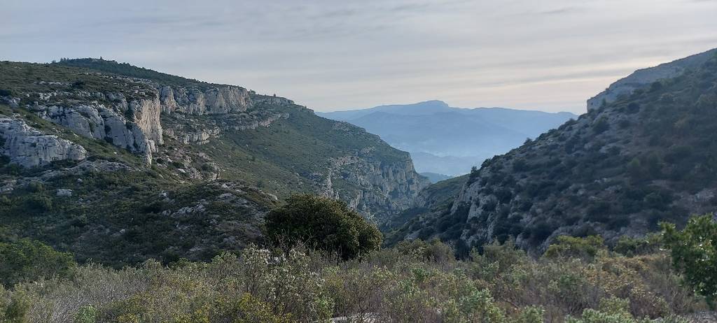 Massif du Garlaban- Randonnée des Micoucouliers-Jeudi 1er février 2024 EJz6FH