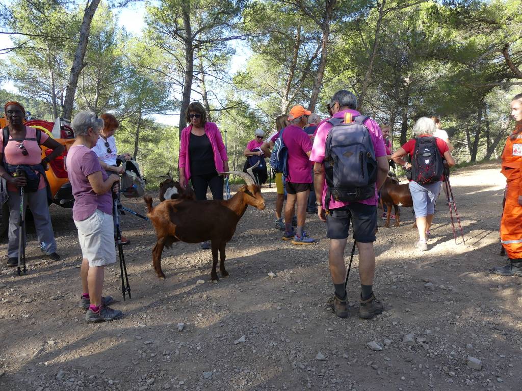 Randonnée Octobre Rose-Dimanche 8 octobre 2023 FZpVK2