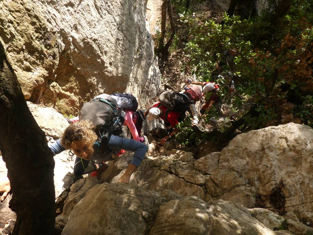 Lafare-Les Dentelles de Montmirail-Jeudi 1er juin 2023 Ic1HE8