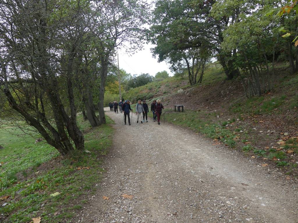 Pichauris-Plateau de l'Aroumi-Jeudi 26 octobre 2023 LrDoM8