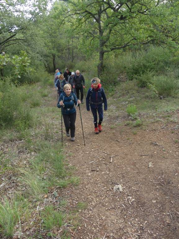 Pichauris-Plateau de l'Aroumi-Jeudi 26 octobre 2023 IZIRcJ