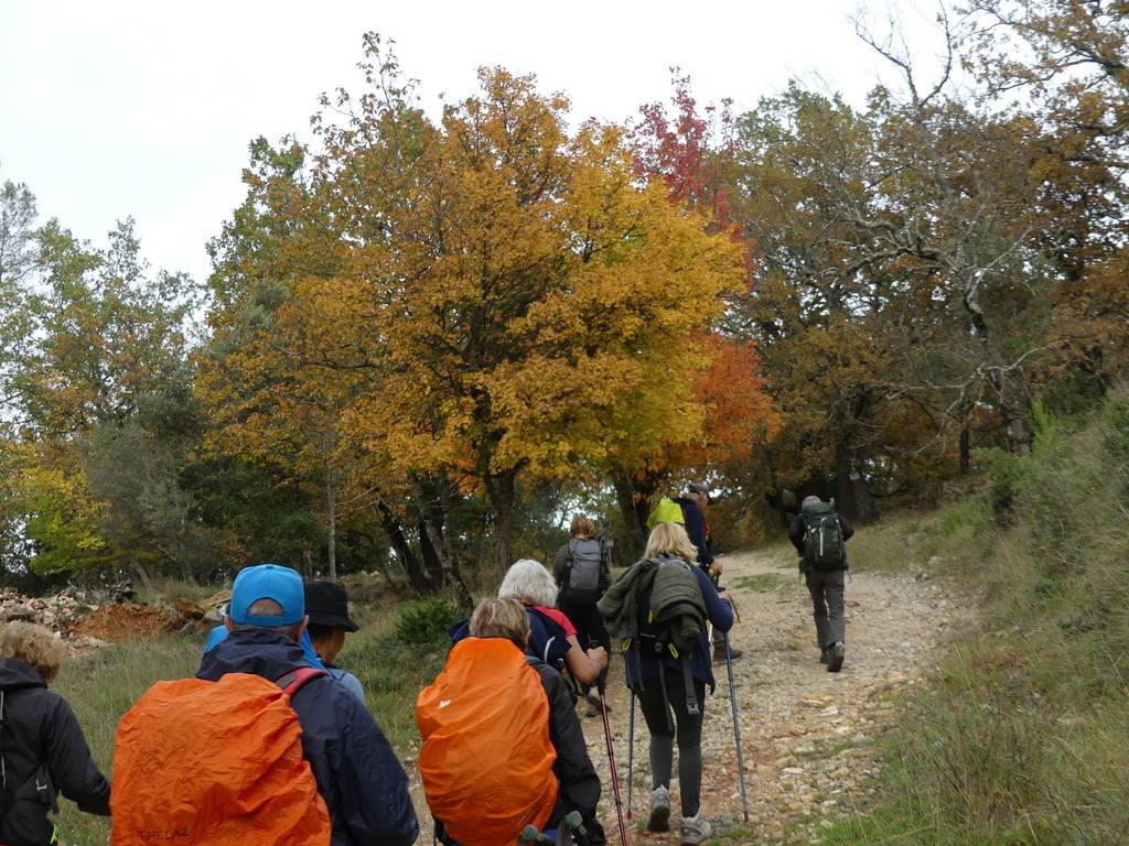 Belgentier-Aiguilles de Valbelle-Jeudi 16 novembre 2023 PDWpAG