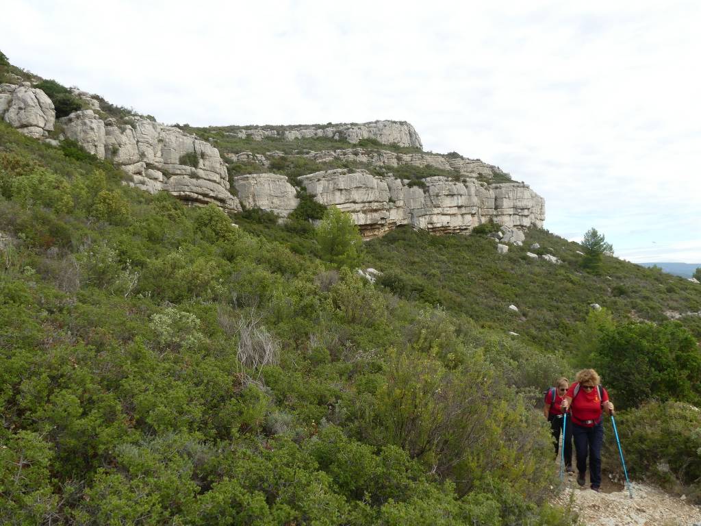 Pichauris-Plateau de l'Aroumi-Jeudi 26 octobre 2023 VzgGvo