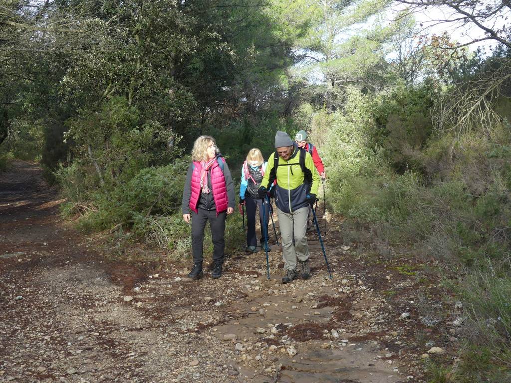 Traversée du Mont Aurélien-Jeudi 15 février 2024 Xmi9jx