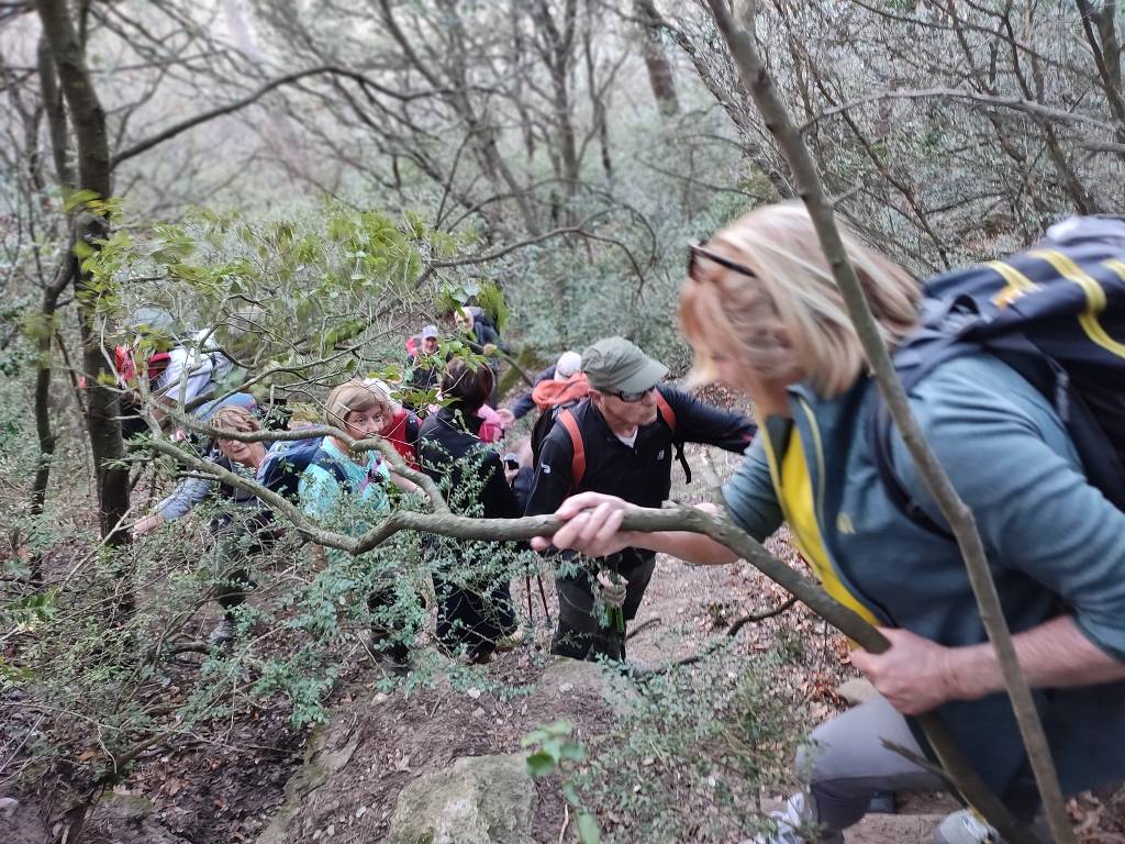 Lamanon-Grottes de Calès-Jeudi 4 janvier 2024 ZKtfNw