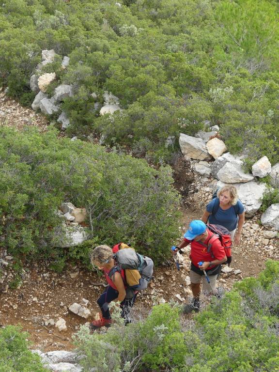 Pichauris-Plateau de l'Aroumi-Jeudi 26 octobre 2023 ArVYGD