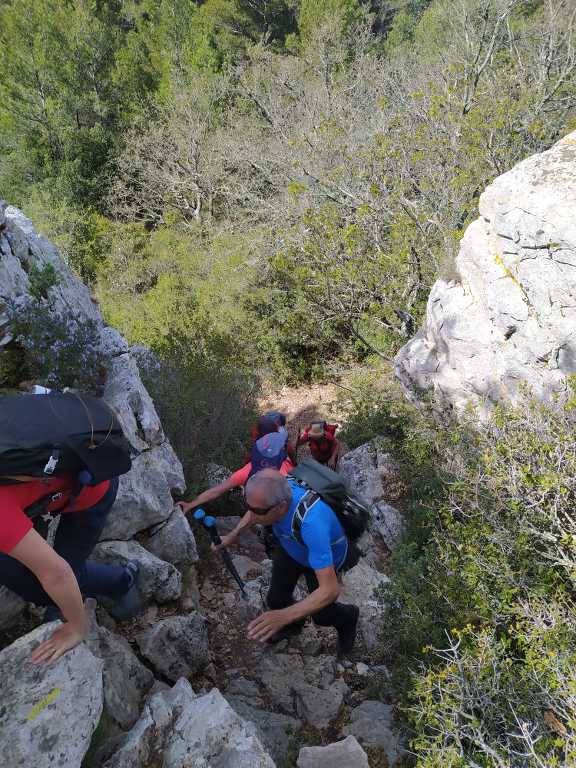 Kirbon-St Jean du Puy-Jeudi 4 avril 2024 Cjnyiu