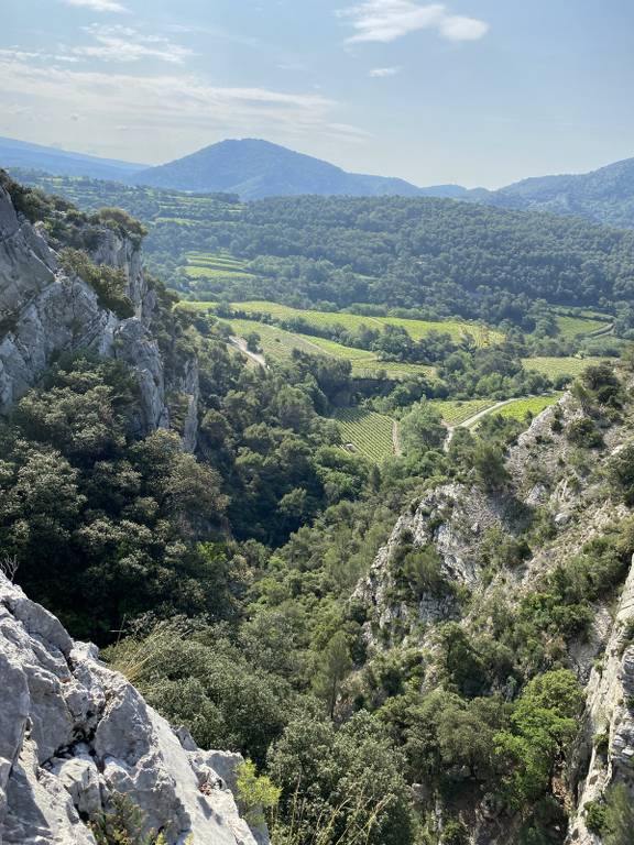 Lafare-Les Dentelles de Montmirail-Jeudi 1er juin 2023 DtxdxP