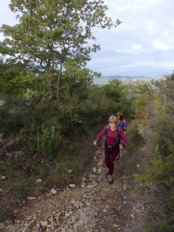 Pichauris-Plateau de l'Aroumi-Jeudi 26 octobre 2023 IyuE56