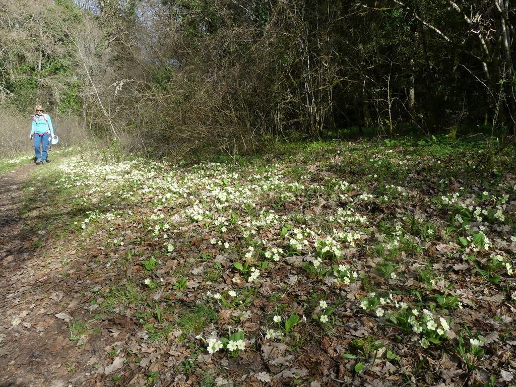 Buoux-Crêtes du Lubéron-Aiguebrun-Jeudi 21 mars 2024 LaYUbb