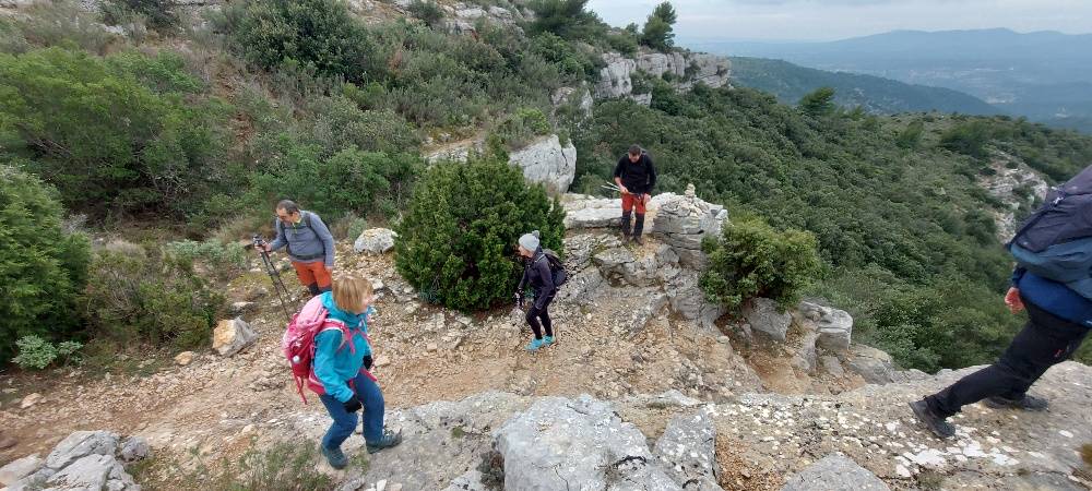 Massif du Garlaban- Randonnée des Micoucouliers-Jeudi 1er février 2024 PMWrCN