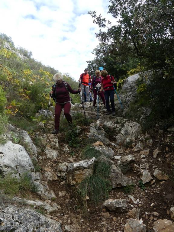 Pichauris-Plateau de l'Aroumi-Jeudi 26 octobre 2023 TwfVza