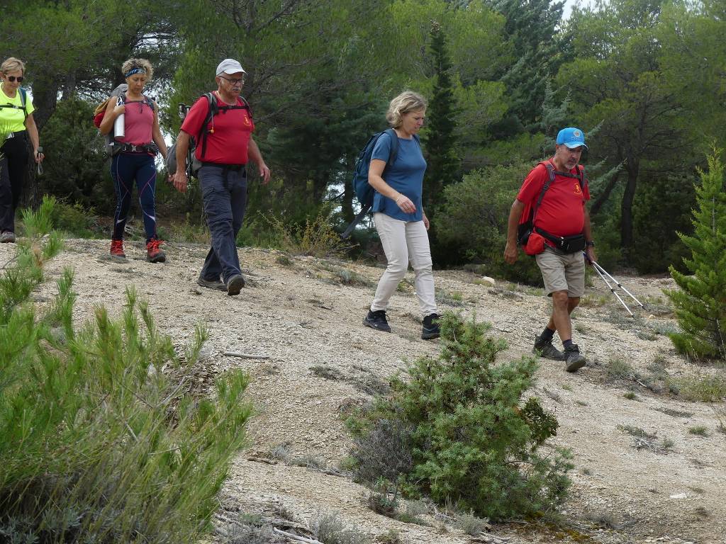 Pichauris-Plateau de l'Aroumi-Jeudi 26 octobre 2023 U0LQY1