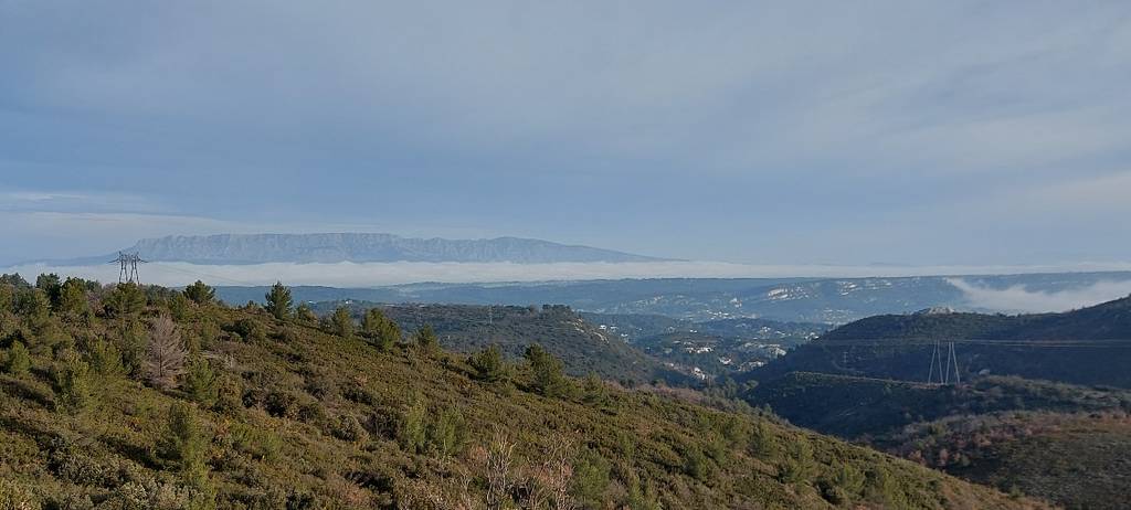 Massif du Garlaban- Randonnée des Micoucouliers-Jeudi 1er février 2024 YFi654