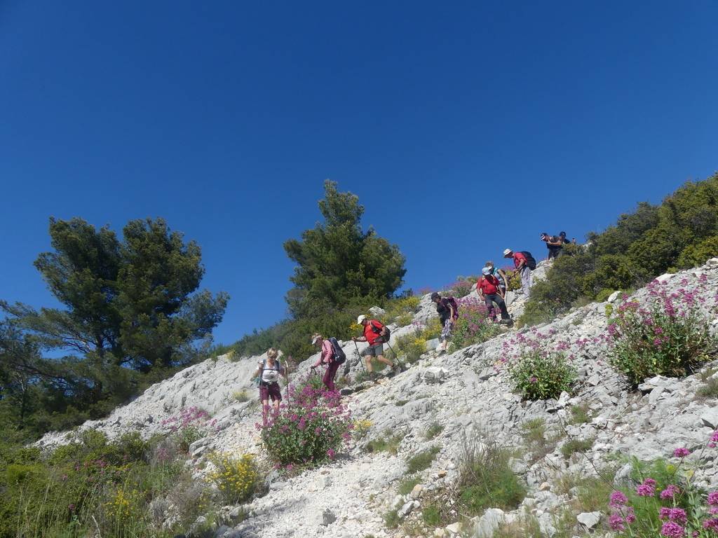 Ollioules-Cuves du Destel-Jeudi 4 mai 2023 MX6oHt