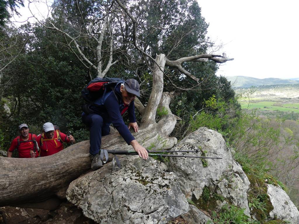 Ste Baume-Grotte aux Oeufs-Signal des Béguines-Paradis-Jeudi 11 avril 2024 NXLLyD