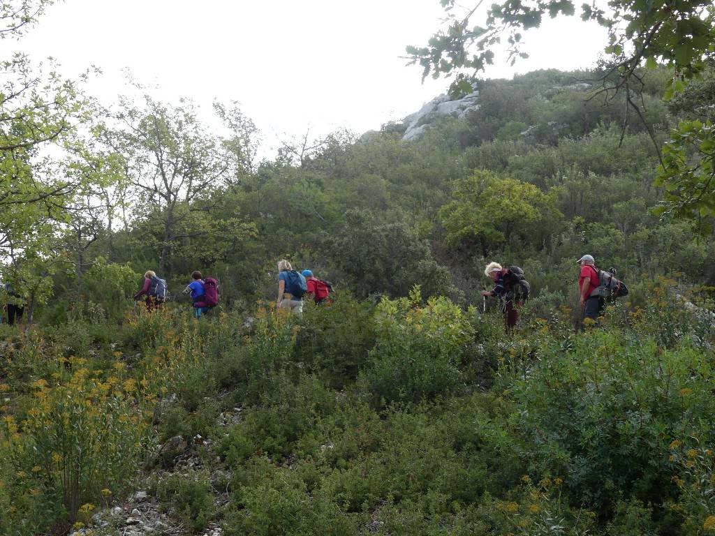 Pichauris-Plateau de l'Aroumi-Jeudi 26 octobre 2023 RdxJXI