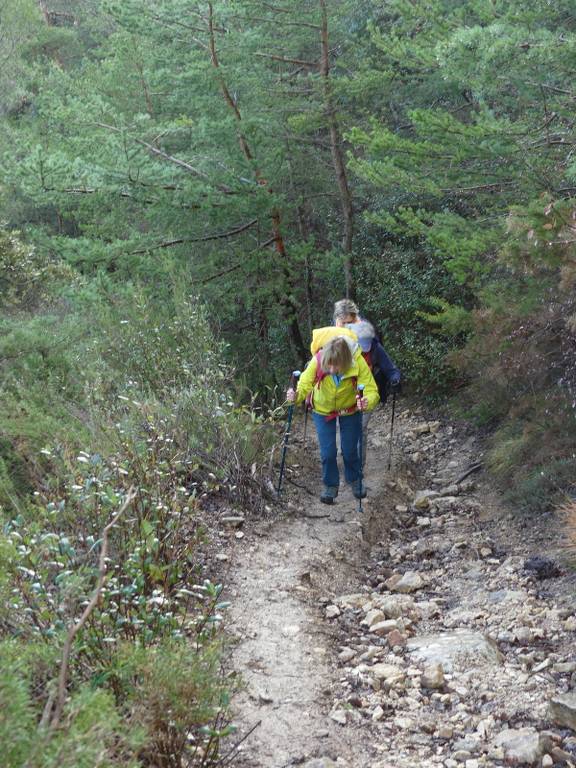 St Savournin-Grand Puech-Mont Julien-Jeudi 18 janvier 2024 Rv1ggZ