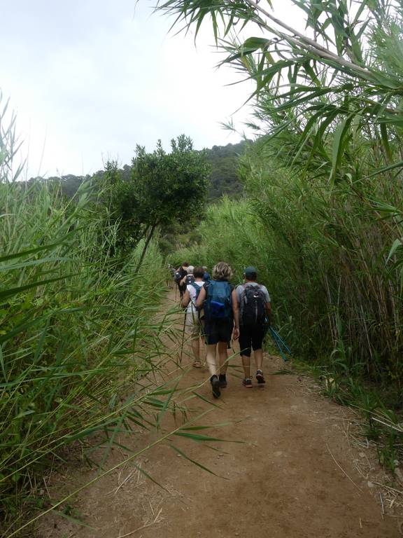 Randonnées ile de Port Cros-Jeudi 22 juin 2023 WlKSy7