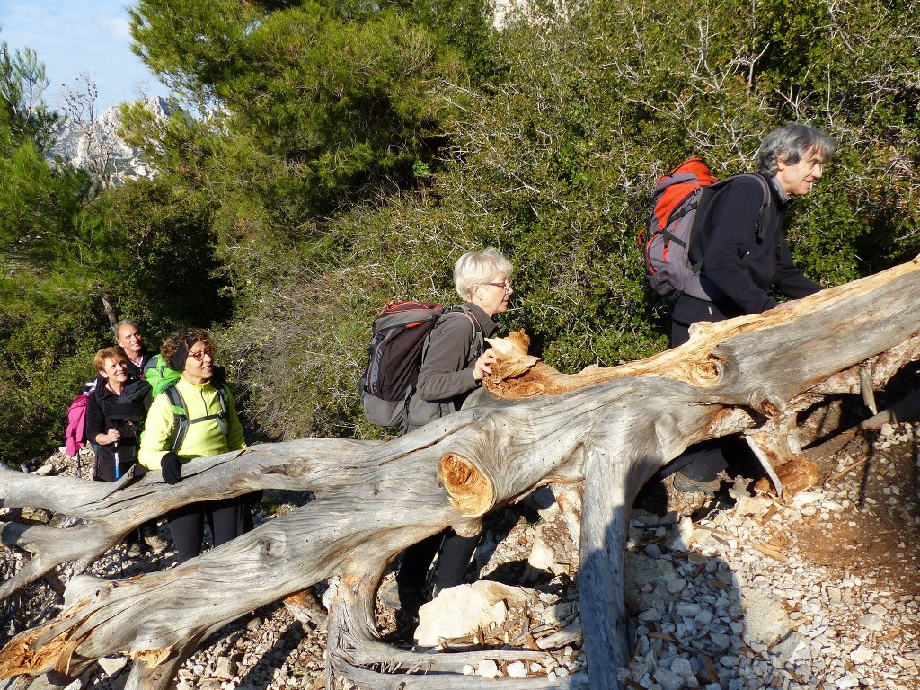 Calanques-Mont Puget par le Val Vierge-Jeudi 12 février 2015 FJ1YJ8