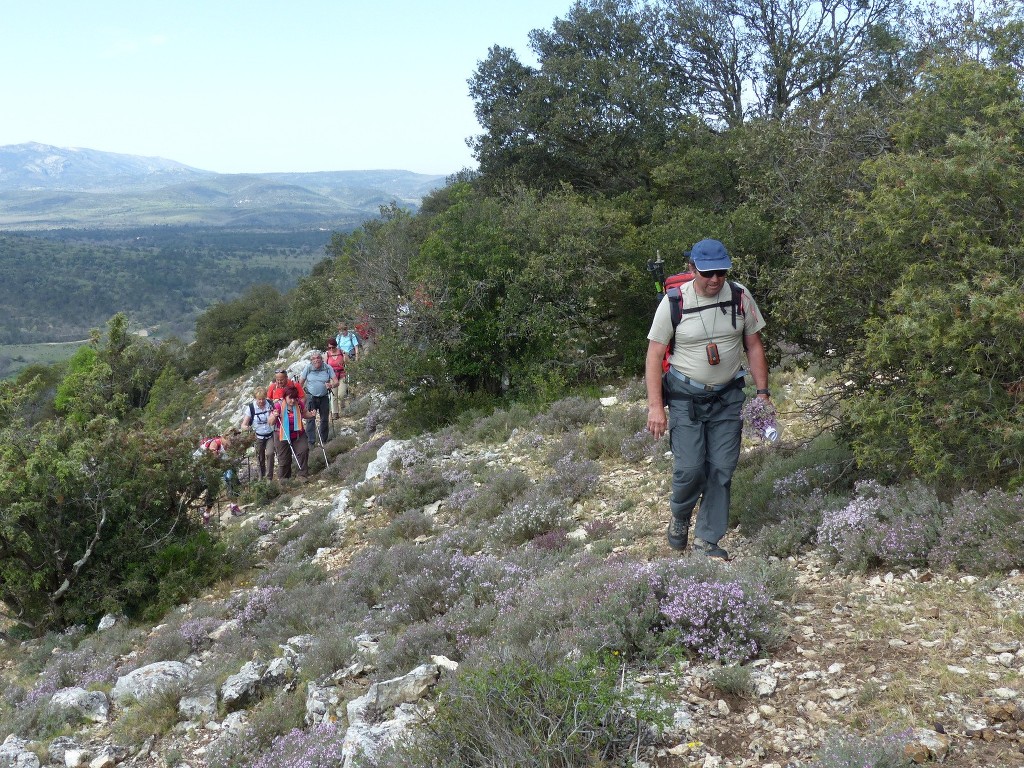 Rians-Montagne d'Artigues-Jeudi 23 avril 2015 Ki8z6i